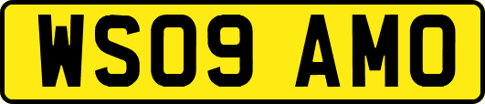 WS09AMO