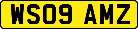 WS09AMZ