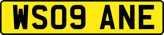 WS09ANE