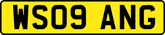WS09ANG