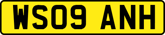 WS09ANH