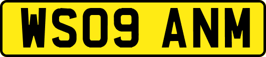 WS09ANM