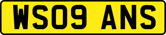 WS09ANS