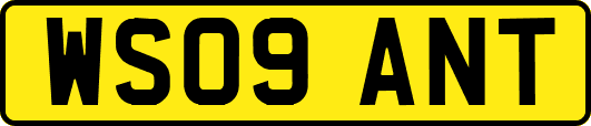 WS09ANT