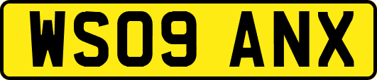 WS09ANX