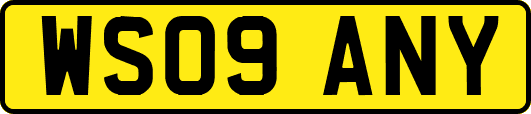 WS09ANY
