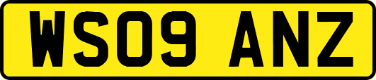 WS09ANZ