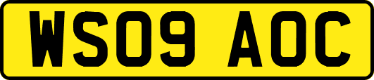 WS09AOC