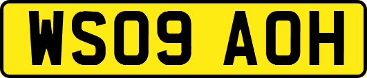 WS09AOH