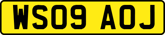 WS09AOJ