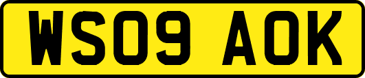 WS09AOK