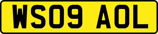 WS09AOL