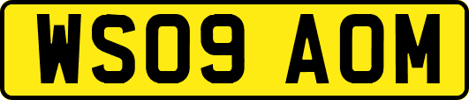 WS09AOM