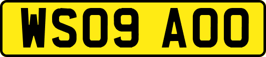 WS09AOO