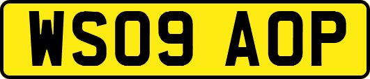 WS09AOP