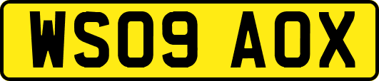 WS09AOX