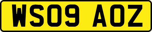 WS09AOZ