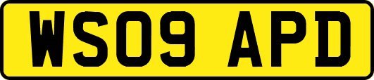 WS09APD