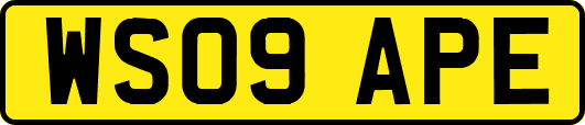 WS09APE