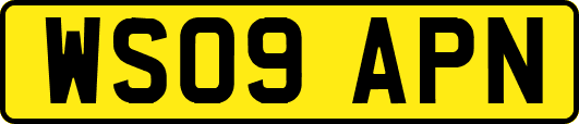 WS09APN