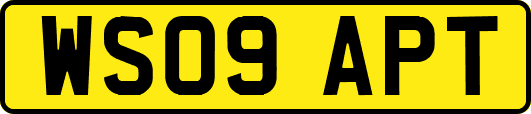 WS09APT