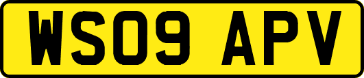 WS09APV