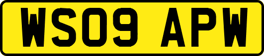 WS09APW