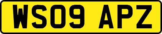 WS09APZ
