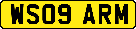 WS09ARM