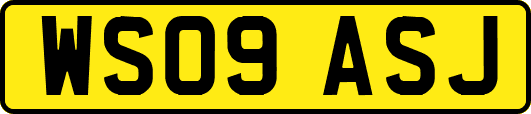 WS09ASJ