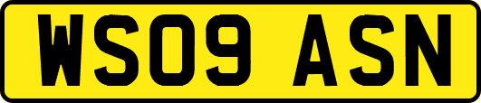 WS09ASN