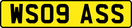WS09ASS