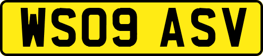WS09ASV