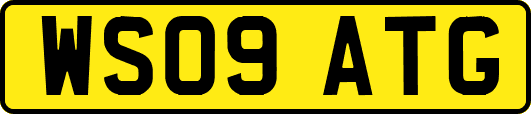 WS09ATG