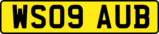 WS09AUB