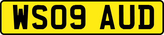 WS09AUD