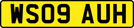 WS09AUH