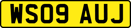 WS09AUJ