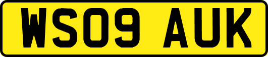 WS09AUK