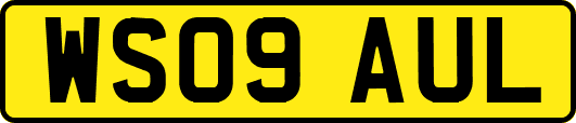 WS09AUL