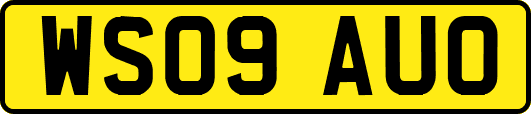 WS09AUO