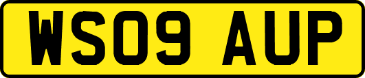 WS09AUP