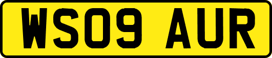 WS09AUR