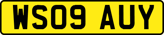 WS09AUY