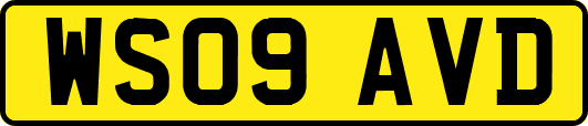 WS09AVD