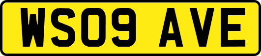 WS09AVE