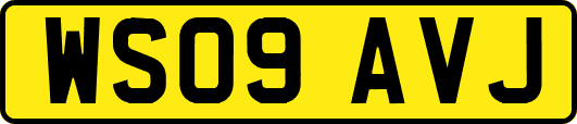 WS09AVJ