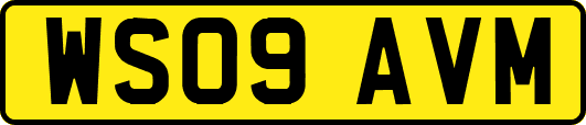 WS09AVM