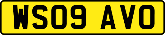 WS09AVO