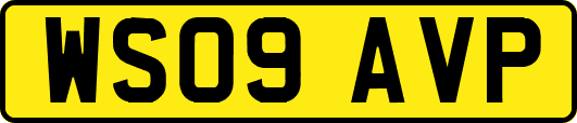 WS09AVP